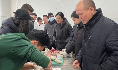 "Шаг в будущее: школьники познакомились с миром медицины"